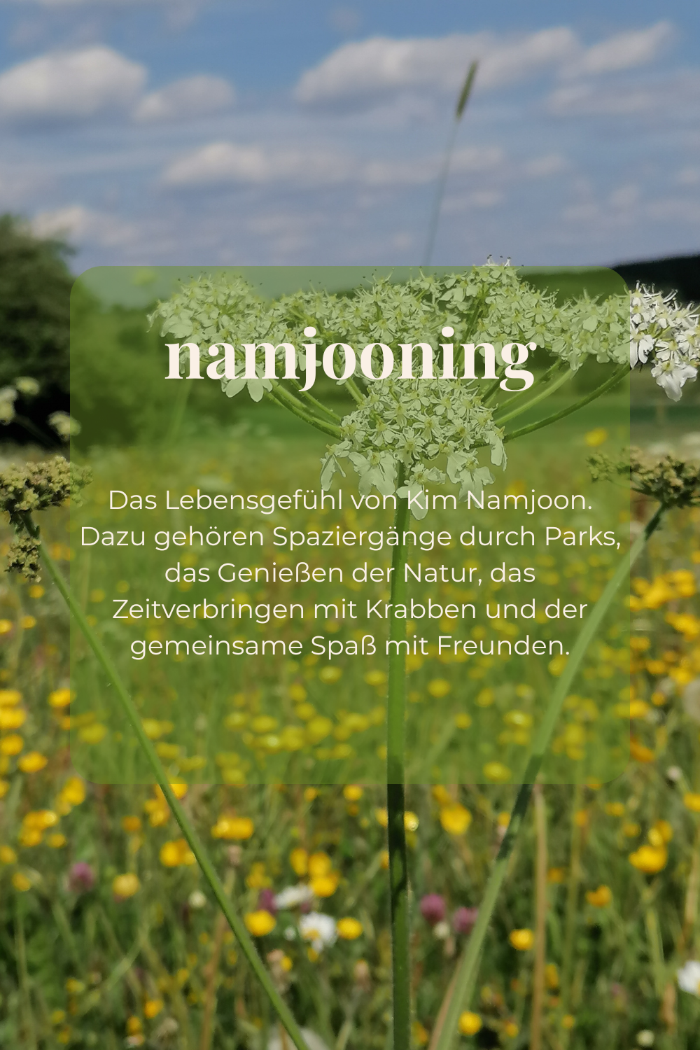 Die Kunst des Namjooning – Ein Guide für moderne Historiker